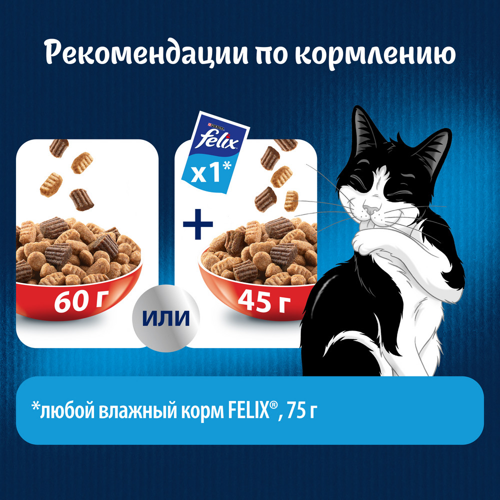 Сухой корм FELIX® Двойная Вкуснятина® для взрослых кошек, с мясом, Мешок, 10 кг - фото 9