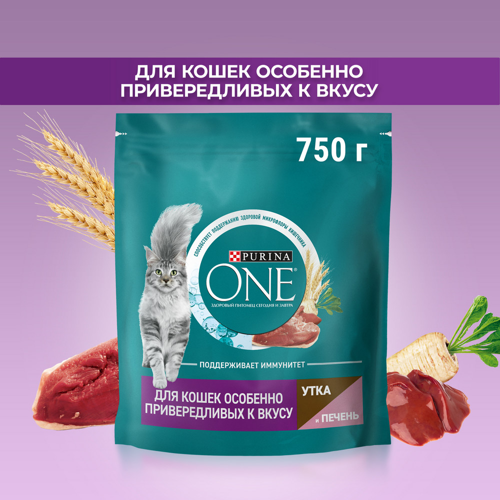Құрамында үйрек етінің мөлшері жоғары, бауыр қосылған, дәмге ерекше талғампаз мысықтарға арналған Purina ONE® құрғақ азығы - фото 3