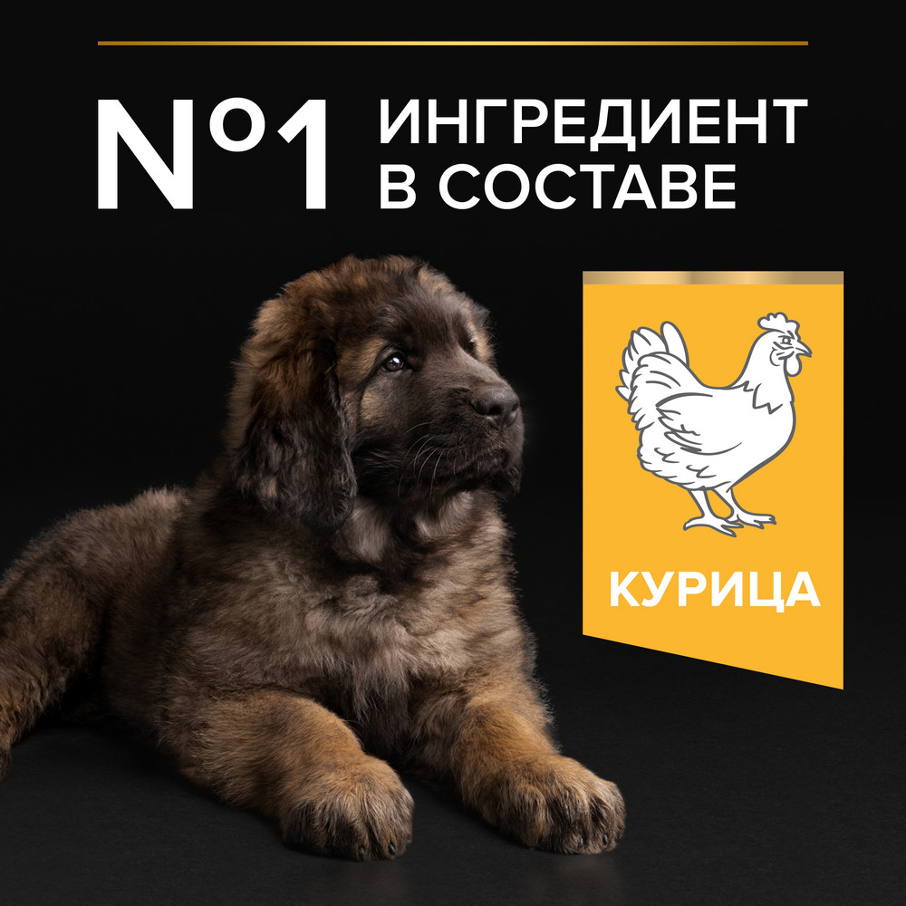 Сухой корм PRO PLAN® для щенков крупных пород с мощным телосложением, с высоким содержанием курицы - фото 6
