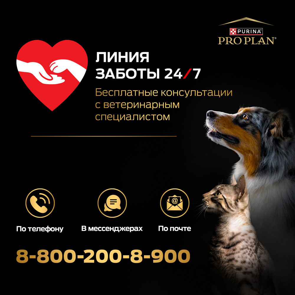 Влажный корм PRO PLAN® для взрослых собак мелких и карликовых пород, с курицей в соусе , 85 г х 26 шт - фото 16