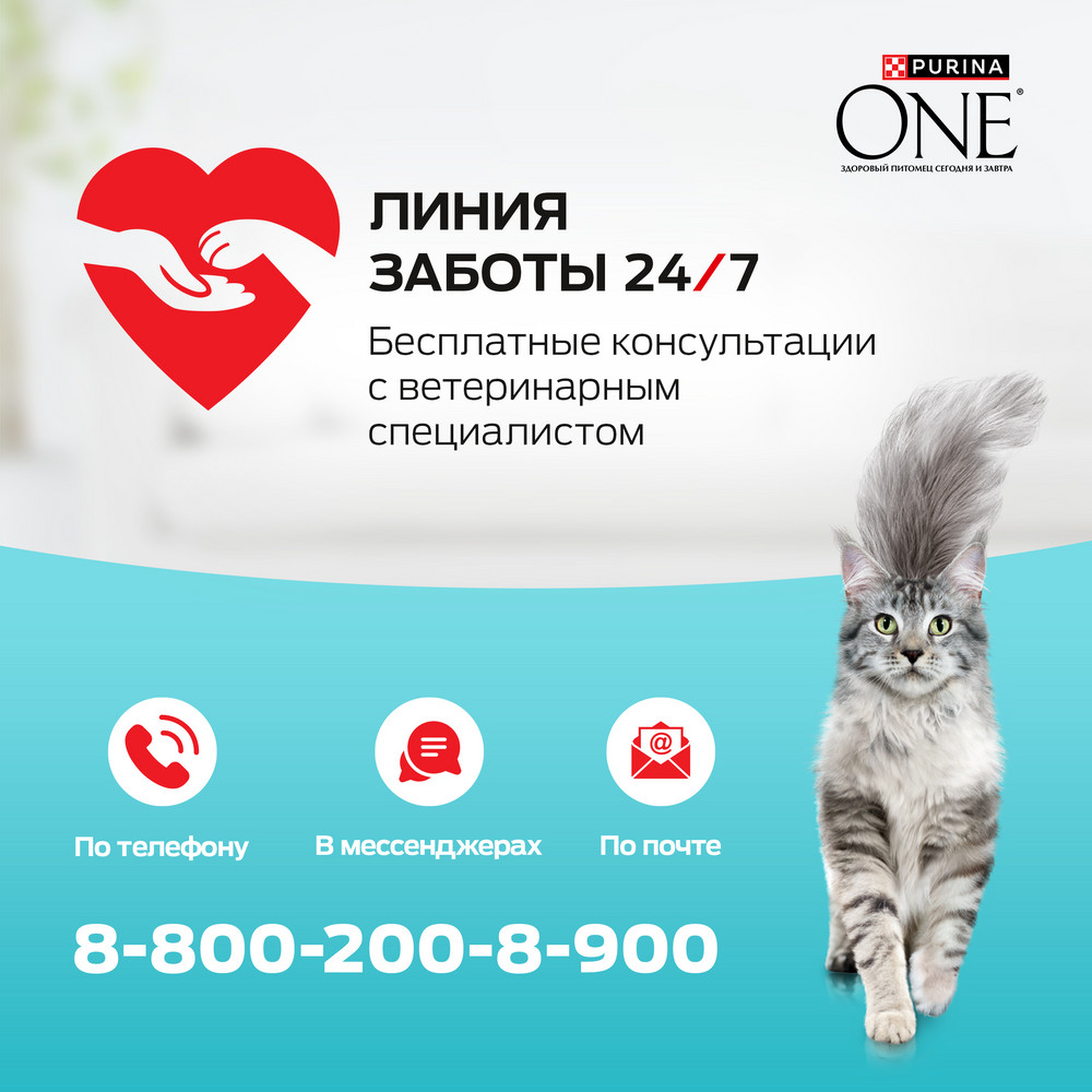 Сухой корм Purina ONE® полнорационный для взрослых кошек с чувствительным пищеварением и разборчивым вкусом в еде, с высоким содержанием индейки - фото 12