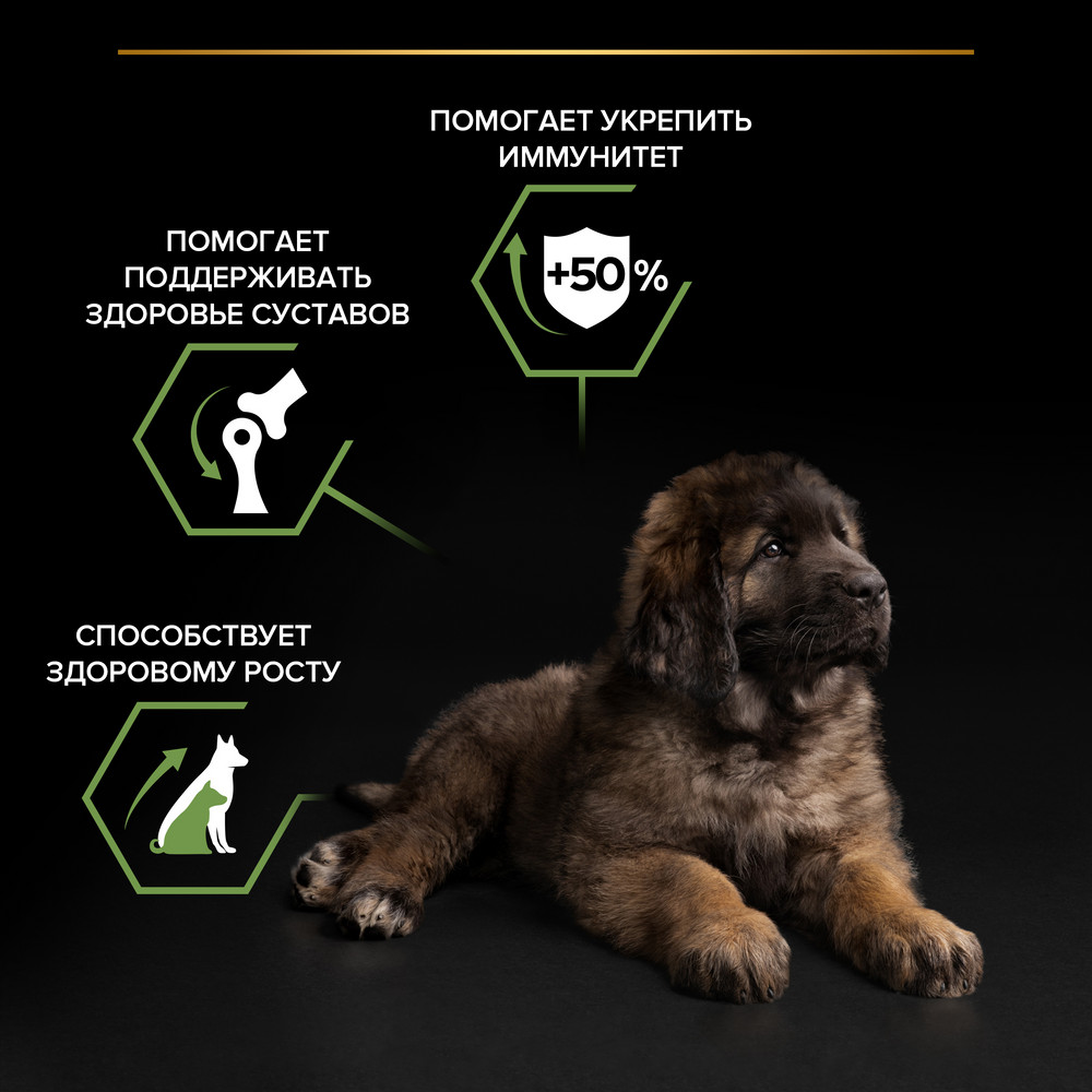 Сухой корм PRO PLAN® для щенков крупных пород с мощным телосложением, с высоким содержанием курицы - фото 7