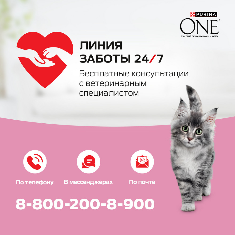 Сухой корм Purina ONE® полнорационный для котят, с высоким содержанием курицы - фото 12