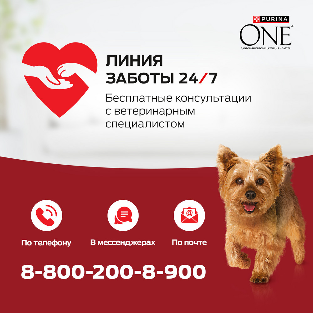Сухой корм Purina ONE® МИНИ < полнорационный для взрослых собак мелких и карликовых пород, с высоким содержанием говядины и с рисом - фото 12