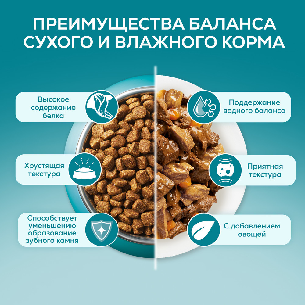 Үйде тұратын мысықтарға арналған Purina ONE® ылғалды азығы, тауық еті мен сәбіз қосылған, Пауч, 75 г - фото 6
