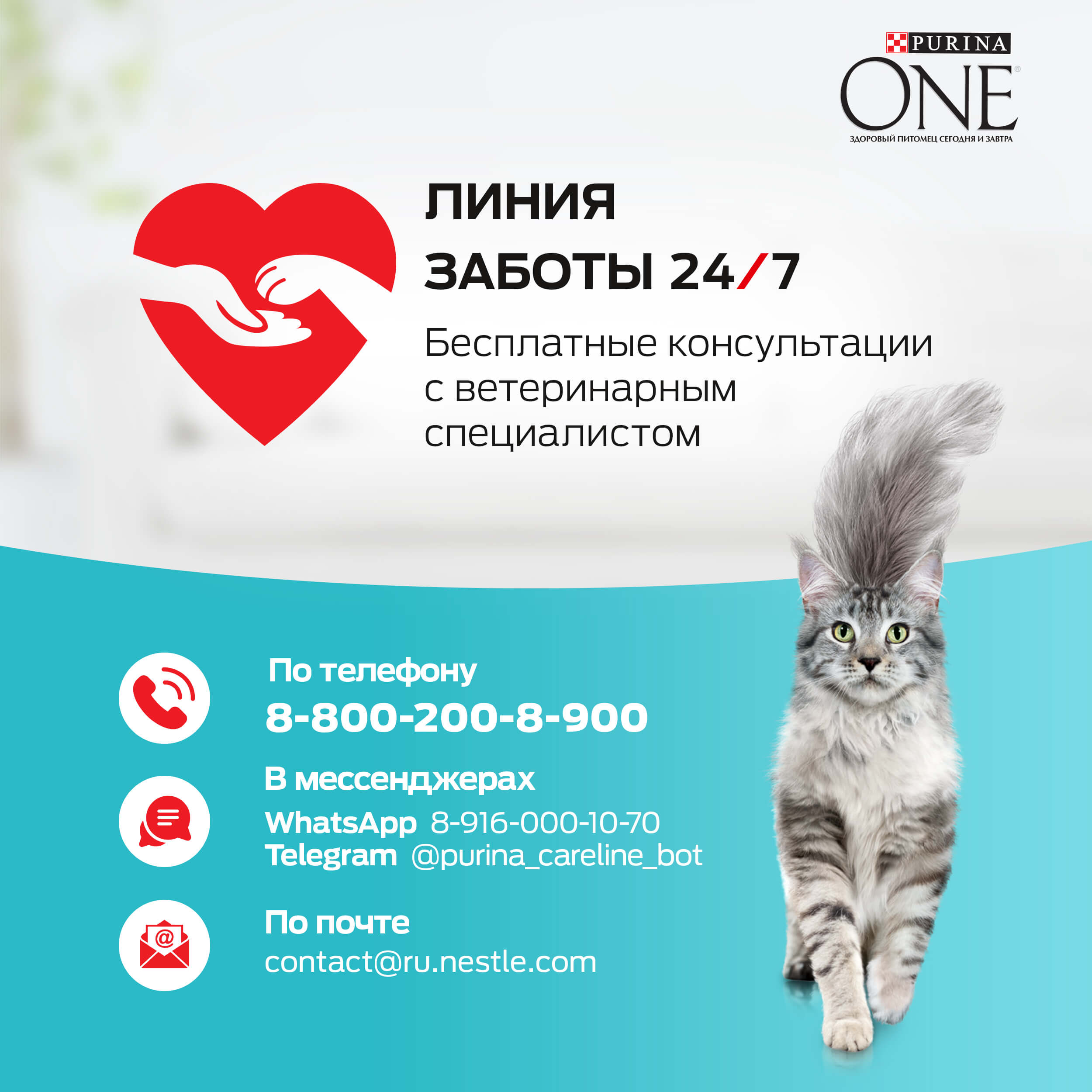 Үйде тұратын мысықтарға арналған Purina ONE® ылғалды азығы, тауық еті мен сәбіз қосылған, Пауч, 75 г - фото 9