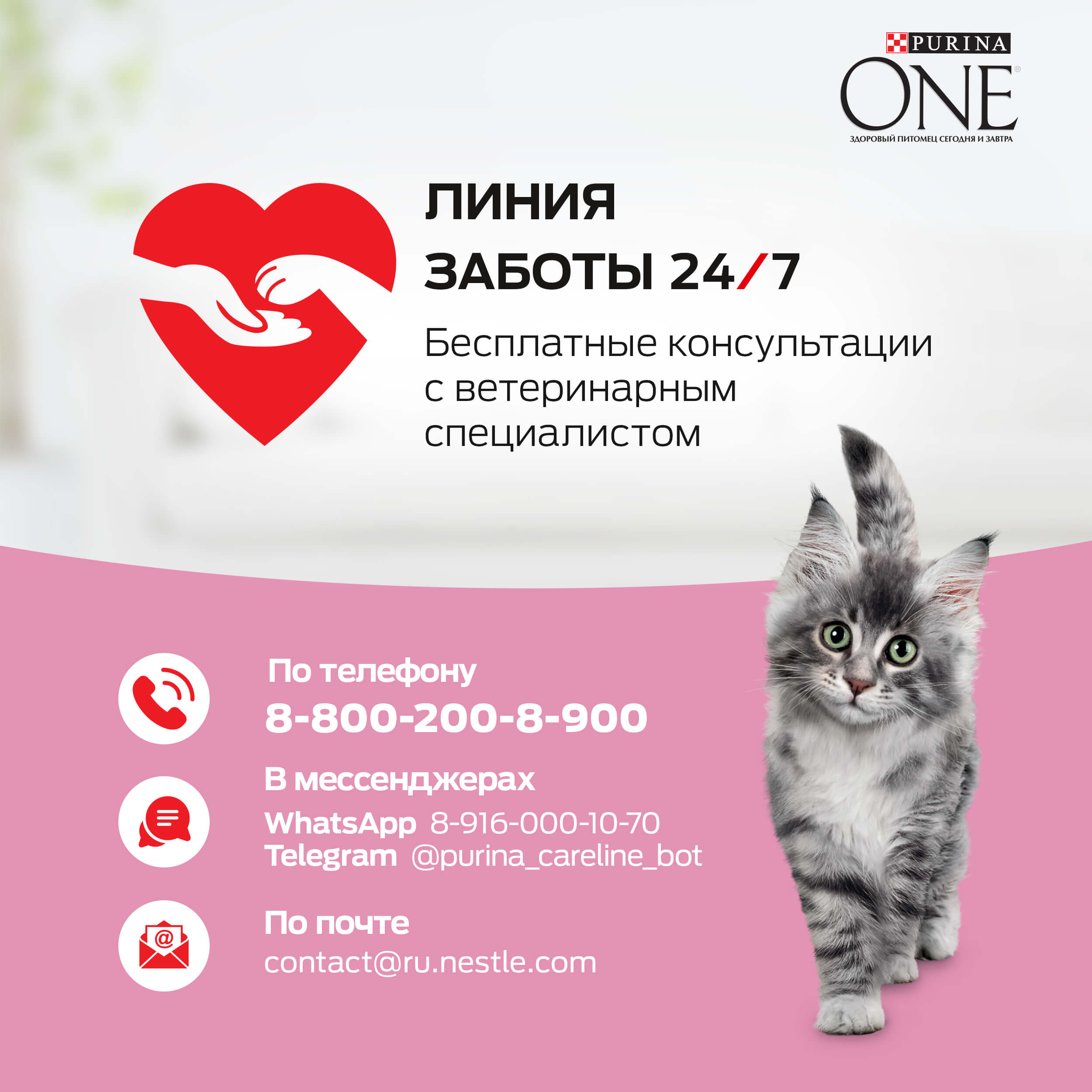 Влажный корм Purina ONE® для котят, с курицей и морковью, Пауч, 75 г - фото 7