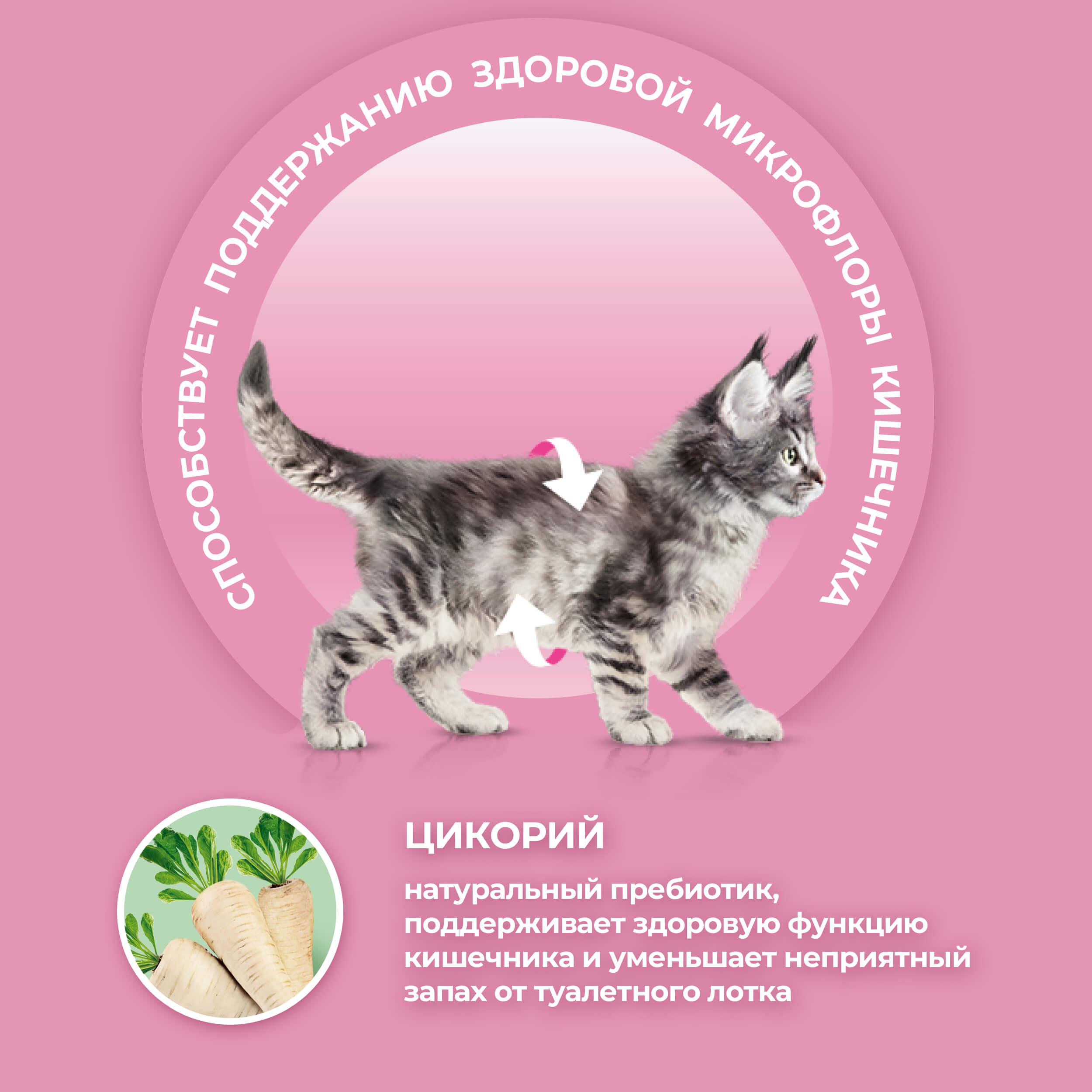 Влажный корм Purina ONE® для котят, с курицей и морковью, Пауч, 75 г - фото 4