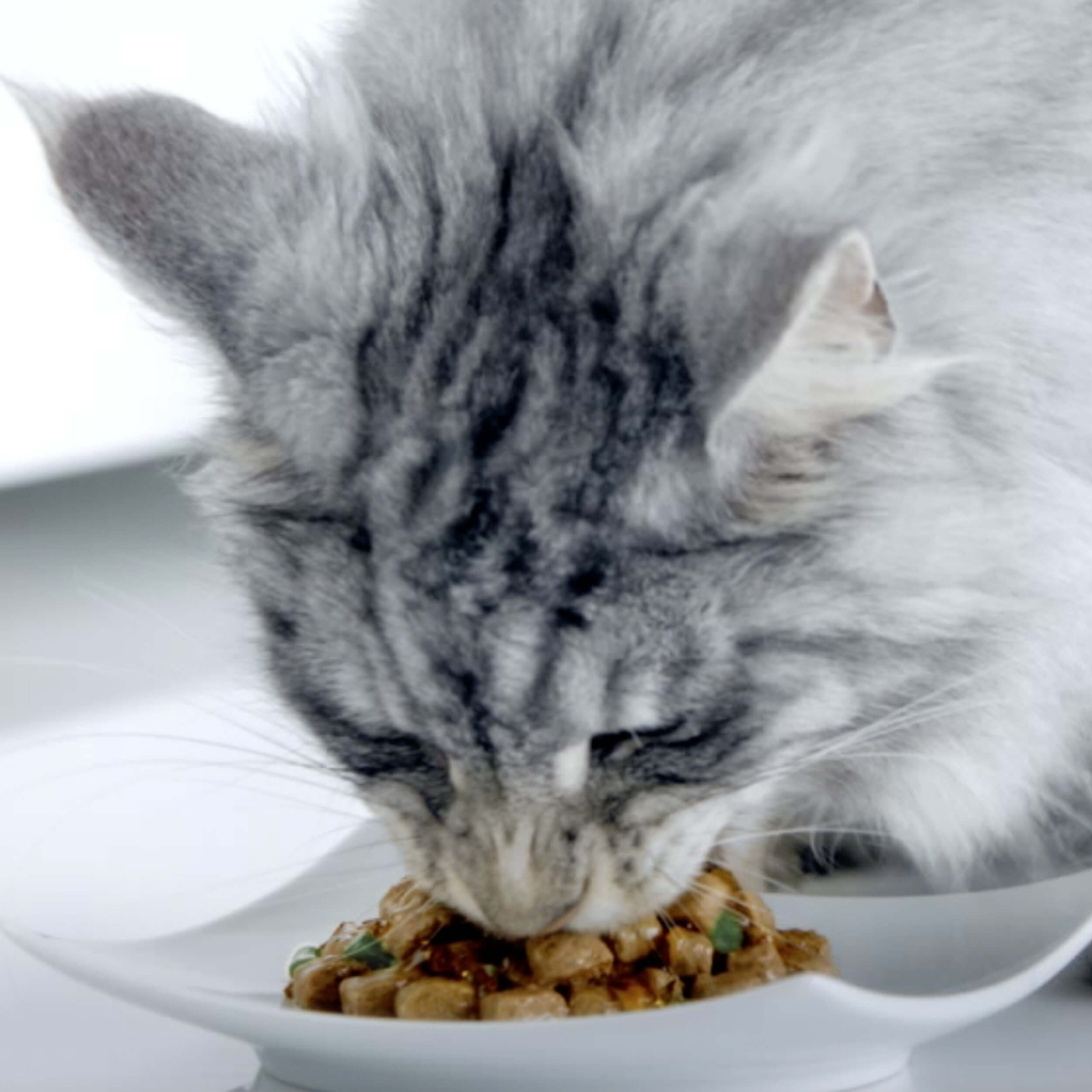 Влажный корм Purina ONE® для взрослых кошек, с говядиной и морковью, пауч, 75г - фото 8
