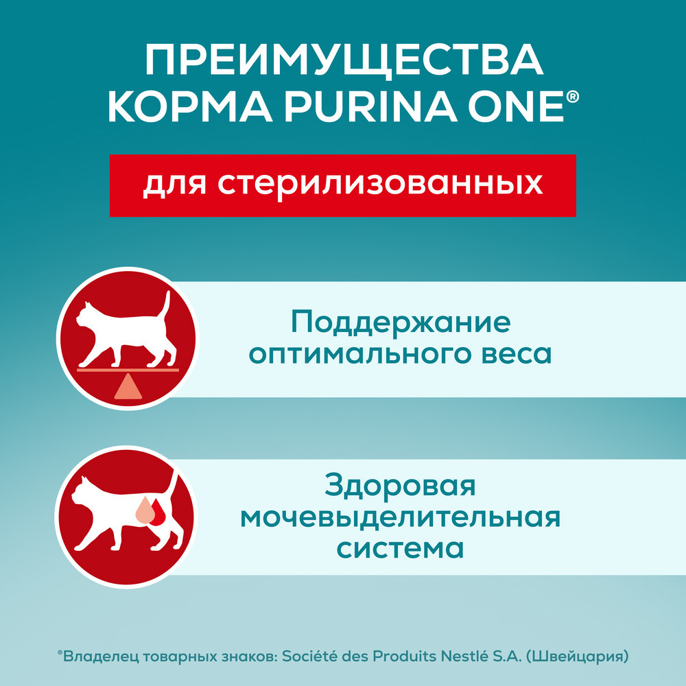 Влажный корм Purina ONE® для стерилизованных кошек и кастрированных котов, с курицей и зеленой фасолью, Пауч, 75 г - фото 2