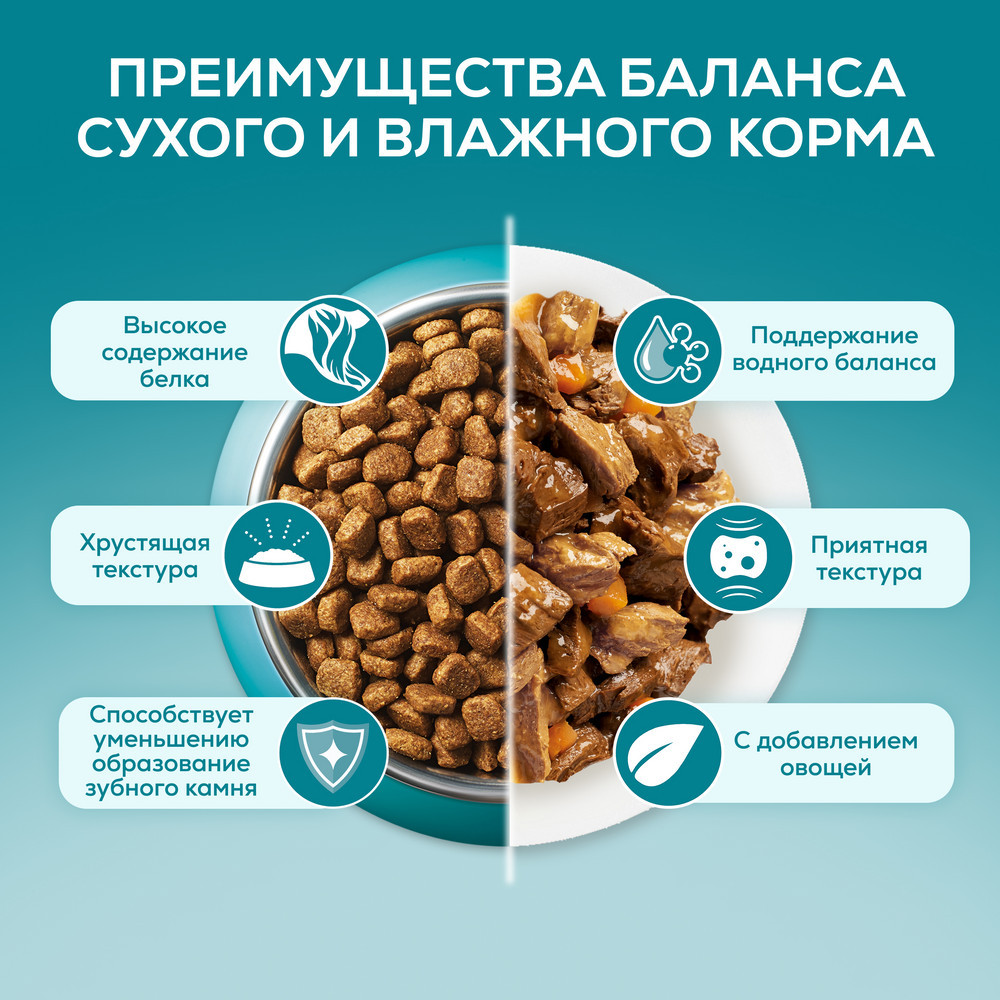 Влажный корм Purina ONE® для котят, с курицей и морковью, Пауч, 75 г - фото 3