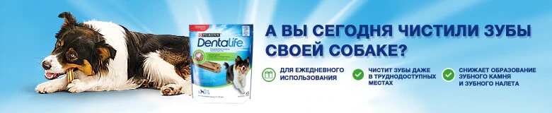  Лакомство для собак Purina DentaLife