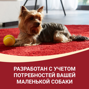 Влажный корм Purina ONE Мини Взрослая для собак мелких пород старше 1 года, с курицей, морковью и зеленой фасолью в подливе,
