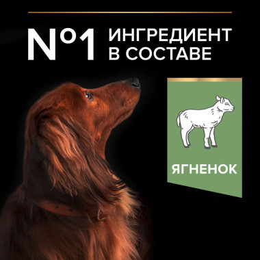 Сухой корм PRO PLAN® для взрослых собак мелких и карликовых пород с чувствительным пищеварением, с высоким содержанием ягненк