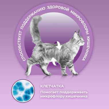 Влажный корм Purina ONE® для кошек особенно привередливых к вкусу, индейка и утка высокого качества с морковью, пауч
