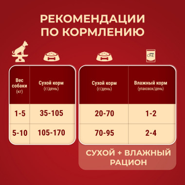 Сухой корм Purina ONE® для взрослых собак мелких и карликовых пород м, с высоким содержанием говядины и рисом