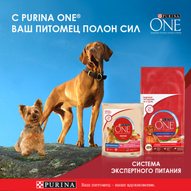 Влажный корм Purina ONE® Мини Взрослая для собак мелких пород старше 1 года, с говядиной, картофелем и горохом подливе, Пауч