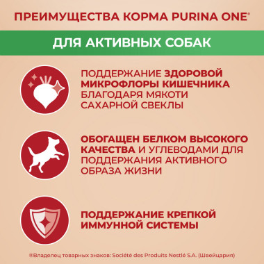 Сухой корм Purina ONE МИНИ Активная для собак мелких пород, с высоким содержанием курицы и с рисом