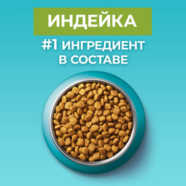 Сухой корм Purina ONE® полнорационный для взрослых кошек, живущих в домашних условиях, с высоким содержанием индейки