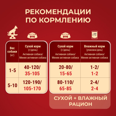 Сухой корм Purina ONE МИНИ Активная для собак мелких пород, с высоким содержанием курицы и с рисом