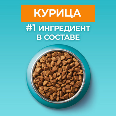 Сухой корм Purina ONE для взрослых кошек, с высоким содержанием курицы и цельными злаками