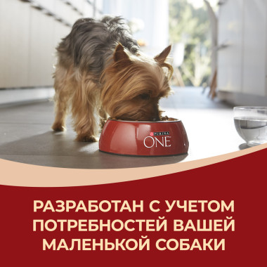 Сухой корм Purina ONE® для взрослых собак мелких и карликовых пород м, с высоким содержанием говядины и рисом