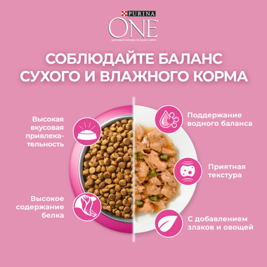 Сухой корм Purina ONE® полнорационный для котят, с высоким содержанием курицы