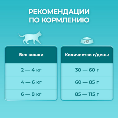 Сухой корм Purina ONE для взрослых кошек, с высоким содержанием курицы и цельными злаками