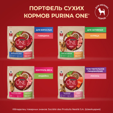 Сухой корм Purina ONE® для взрослых собак мелких и карликовых пород м, с высоким содержанием говядины и рисом