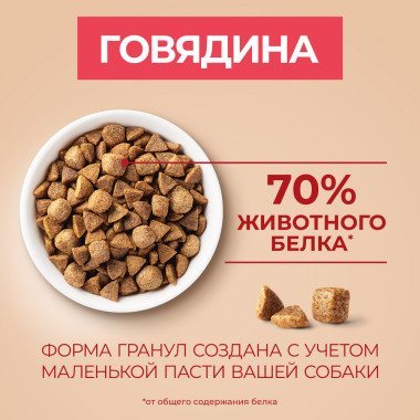 Сухой корм Purina ONE® для взрослых собак мелких и карликовых пород м, с высоким содержанием говядины и рисом
