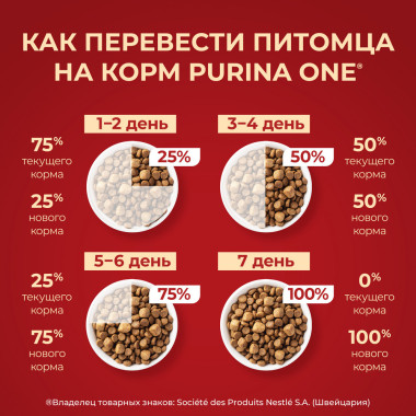 Сухой корм Purina ONE МИНИ Активная для собак мелких пород, с высоким содержанием курицы и с рисом