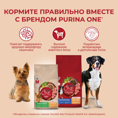 Сухой корм Purina ONE® для взрослых собак мелких и карликовых пород м, с высоким содержанием говядины и рисом