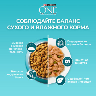 Сухой корм Purina ONE® полнорационный для взрослых кошек, живущих в домашних условиях, с высоким содержанием индейки
