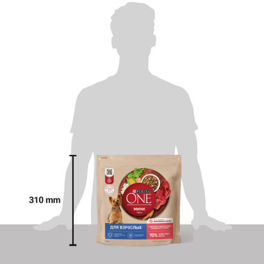 Сухой корм Purina ONE для взрослых собак мелких и карликовых пород с высоким содержанием говядины и рисом