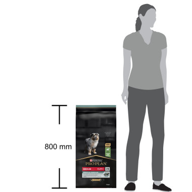 NSTL_145463_1000_1000_True_True_FFFFFFFF