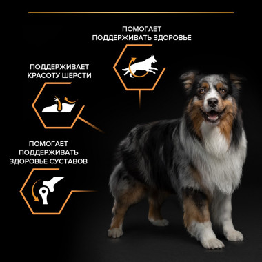 NSTL_157698_1000_1000_True_True_FFFFFFFF