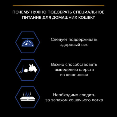 NSTL_158382_1000_1000_True_True_FFFFFFFF