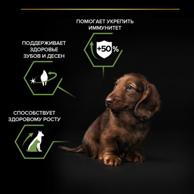 NSTL_171524_1000_1000_True_True_FFFFFFFF