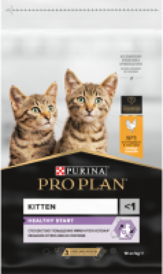 Здоровый старт для котят