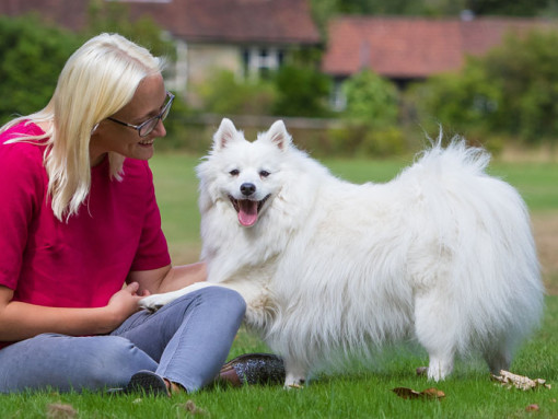 Woman sat outside with dog