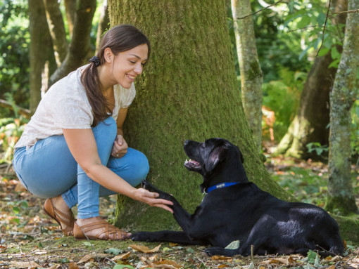 Woman crouched down with dog near a tree