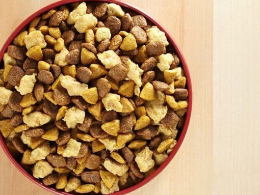 Dry food close up