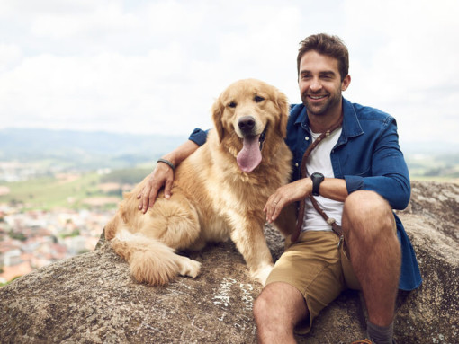 Человек с золотистым ретривером на скале
