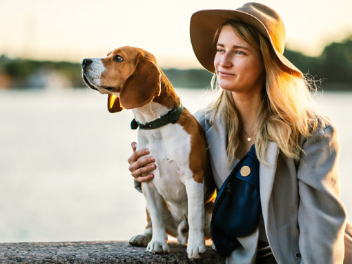 Женщины с биглем у реки