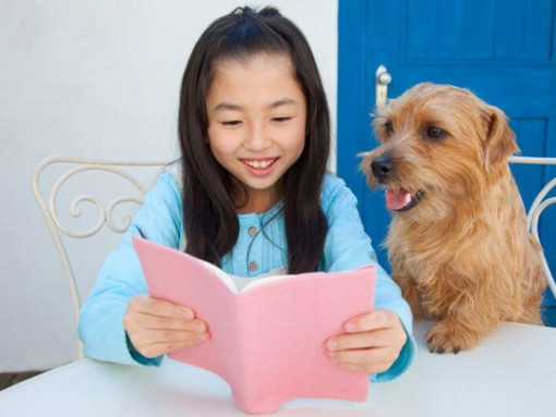 Норфолк-терьер сидит рядом с девушкой