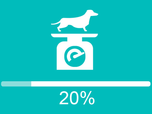 обязательство по борьбе с ожирением домашних животных выполнено на 20 %