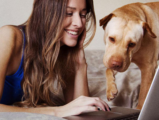 девушка смотрит на ноутбук со своей собакой