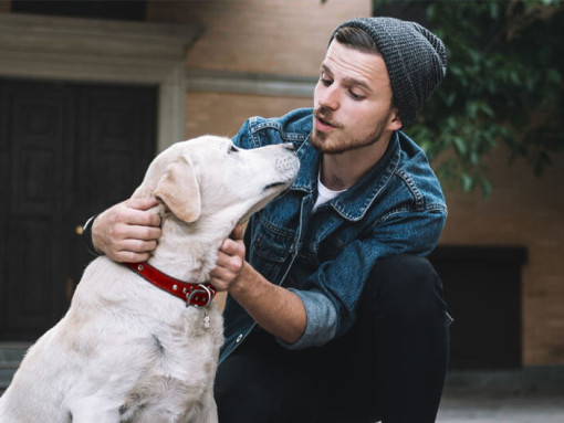 собака смотрит на молодого хозяина