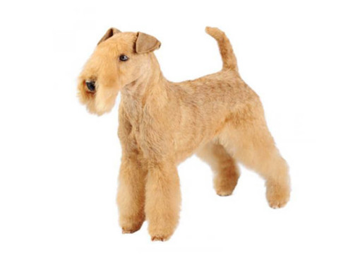 Лейкленд-терьер