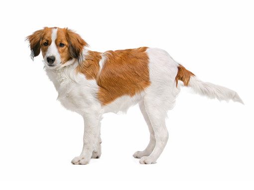 Коикерхондье